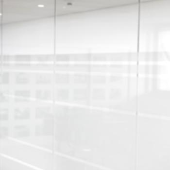 Therese Allesø Skov