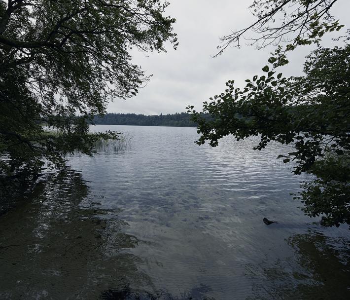 Silkeborg sø