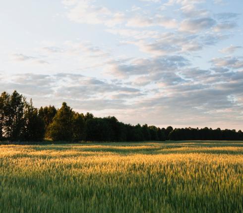 Nye kategoriseringer for Land- og skovejendomme er nu udsendt