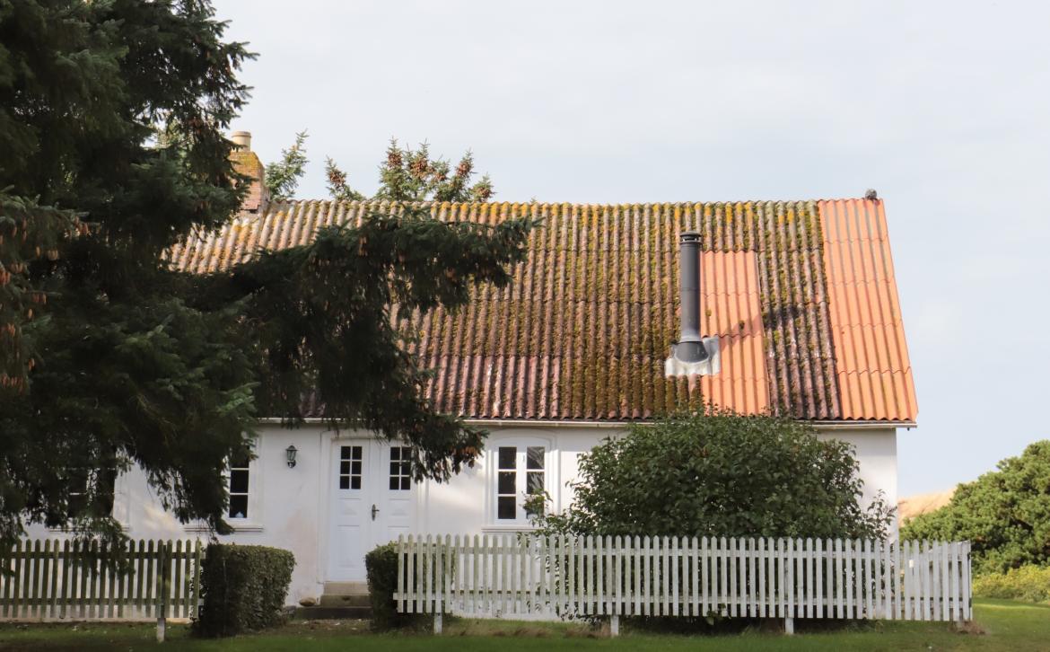 Grundværdi